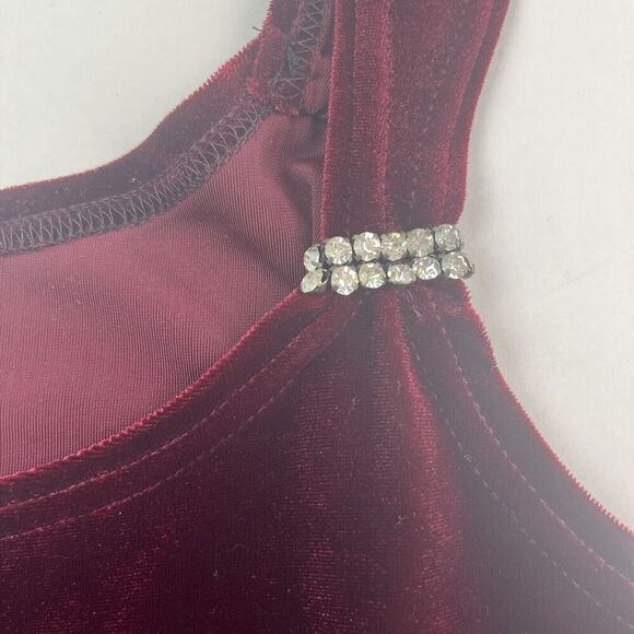 Vintage Fashion Bug Velvet Maxi Dress 16 Burgundy Slip Y2K Whimsigoth Fairy - Picture 10 of 13